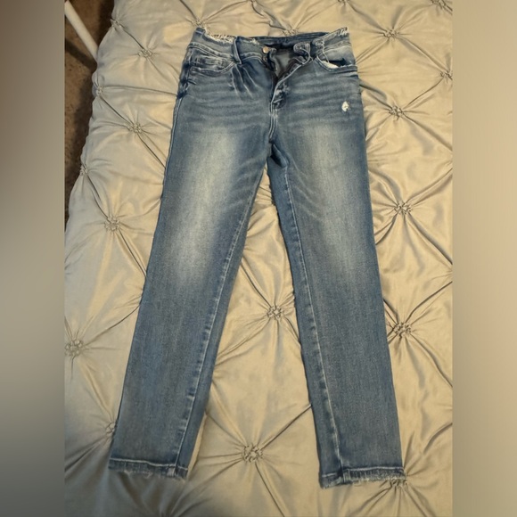 Flying Monkey - Picture 5 of 5